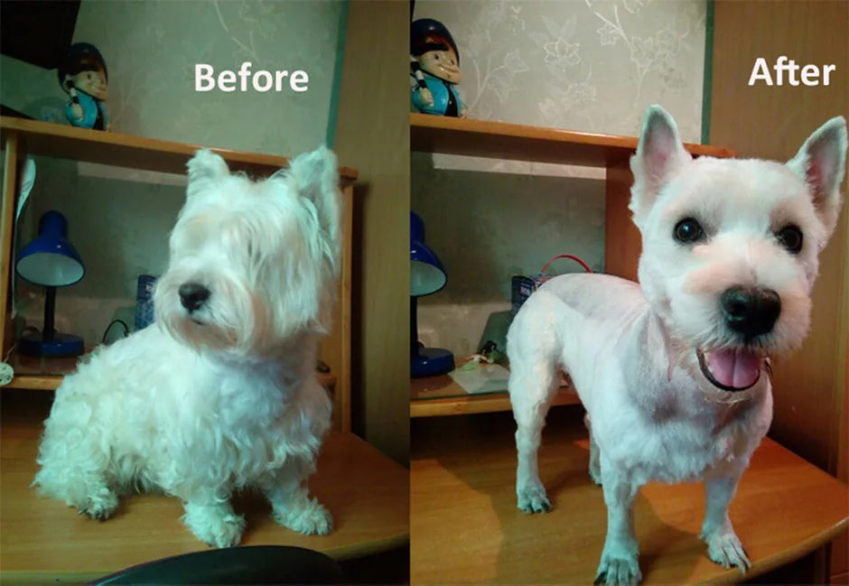 Professional Rechargeable Pet Hair Clipper – Low Noise Grooming Trimmer
